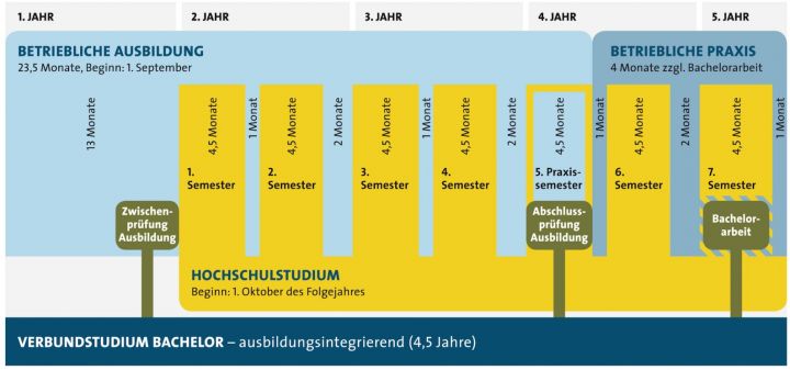 Duales Studium